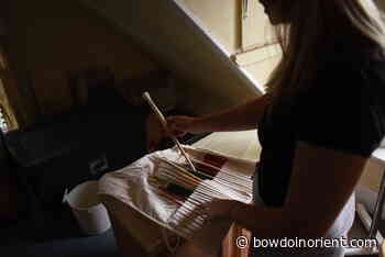 Visual and performing arts adapt for remote learning – The Bowdoin Orient - The Bowdoin Orient