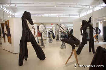 Mors Eloquentiae by Duane Paxson now up at International Arts Center - Troy Tropolitan