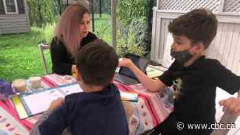 Parents in Quebec court to fight for wider access to online learning