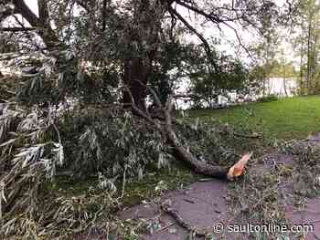 Wind Storm Blows Through
