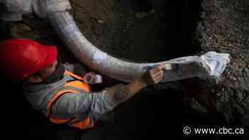 Mexican construction site may be world's biggest mammoth graveyard