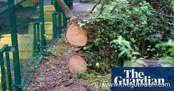 New injunction bars protesters from HS2 site in west London