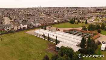 How the Henday expansion gobbled up a country greenhouse in Edmonton's northeast