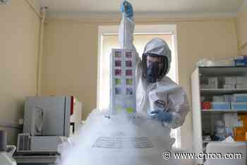Russia’s COVID vaccine shows potential in peer review, Lancet reports