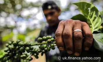 The global coffee market has had a rollercoaster year amid Covid crisis
