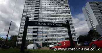 Rats infesting grounds of Gateshead apartment blog leaving residents 'disgusted'