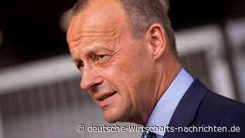 Friedrich Merz fordert Baustopp für Gaspipeline Nord Stream 2