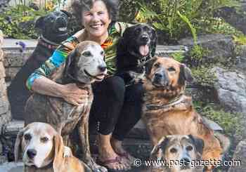 Pet Tales: For the love of old dogs, birds, bees and butterflies