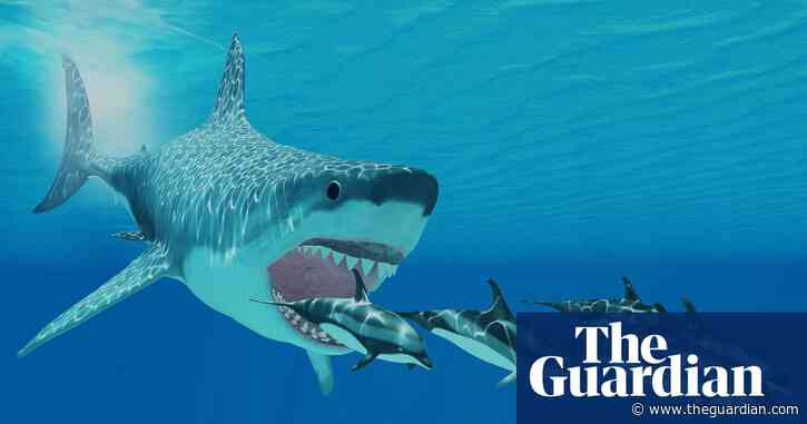 Researchers reveal true scale of megalodon shark for first time