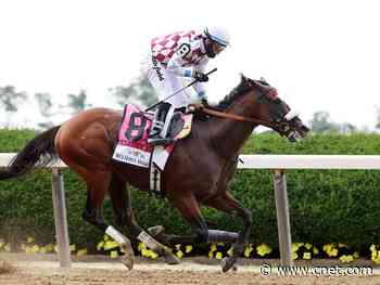 Kentucky Derby 2020: How to watch, stream live without cable     - CNET