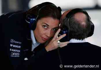 ‘Jammer voor de ‘nostalgisten’, maar een familiebedrijf in de F1 is niet meer van deze tijd’