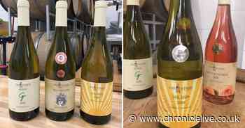 Gateshead's Laneberg Wine launches fundraiser to help ensure a sparkling future - Chronicle Live