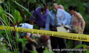 Encuentran cadáver a orillas de una quebrada en Naranjito - Primera Hora