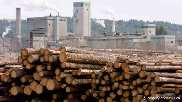 Record high lumber, panel prices drive Alberta stumpage fees to new heights