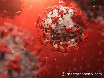 SHA warns of potential COVID-19 exposures in North Battleford, Shell Lake and Prince Albert