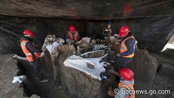 'Mammoth central' found at Mexico airport construction site