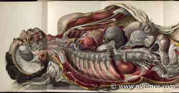 Grisly Slabs of Gothic Horror