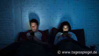 Über die Abhängigkeit vom Netz: "Wir sollten Digitalisierung nicht mehr anbeten" - Tagesspiegel