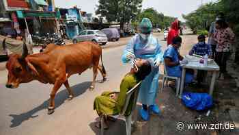 Wirtschaft im Abschwung: Indien: Corona verschärft die Krise - ZDFheute