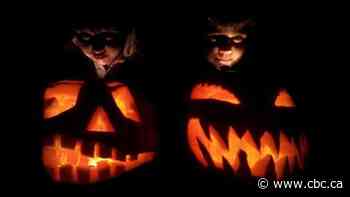 All treats, no tricks: Mulling a pandemic Halloween that is scary for the right reasons