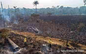 Feds pushed to abandon trade talks with Brazil over Amazon deforestation