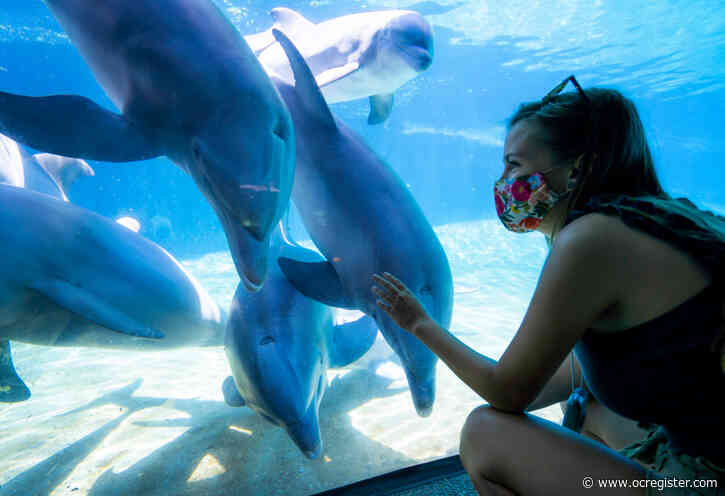 SeaWorld San Diego looks to extend and expand beer and food fest