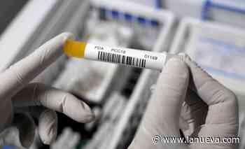 Nuevos contagios de coronavirus en Coronel Rosales y más pacientes recuperados - La Nueva