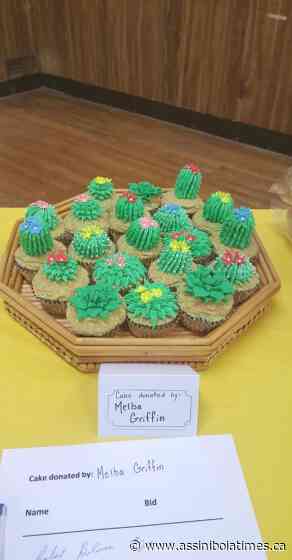 Successful Cakes for a Cure fundraiser held in Rockglen - assiniboiatimes.ca