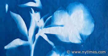 How to Make Sun prints