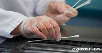 Saskatchewan reports 5 new coronavirus cases