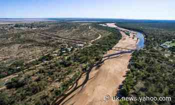 Fitzroy River: the push to prevent a repeat of the Murray-Darling basin 'disaster'