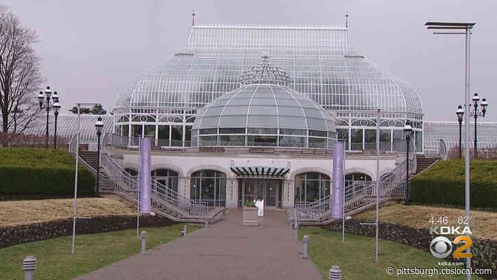 Report: Phipps Conservatory Says Membership Information May Have Been Exposed In Hack