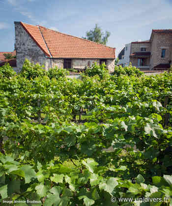 Visite des vignes et de la grange de Clamart La grange-musée Franquet,vigne municipale et cave Clamart - Unidivers