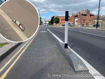 Cycle lane dividers upgraded on A105 in Enfield