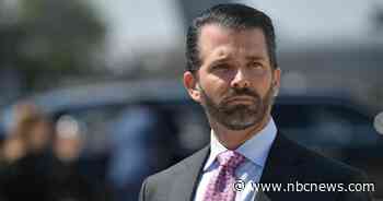 TikTok could 'weaponize your kids' data,' says Donald Trump Jr.