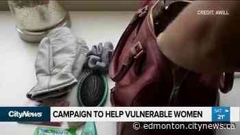 Purse campaign to help vulnerable women in Edmonton goes virtual - CityNews Edmonton