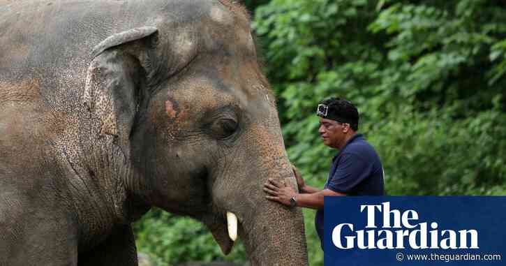 'World’s loneliest elephant' allowed to leave zoo for better life