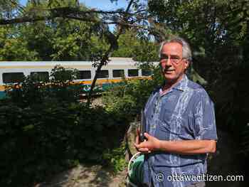 Egan: He warned Via about fallen branch. They took whole tree, and then some.