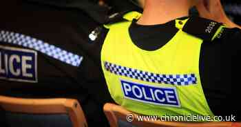 Shamed PC who accessed people's files over 30 times keeps his job