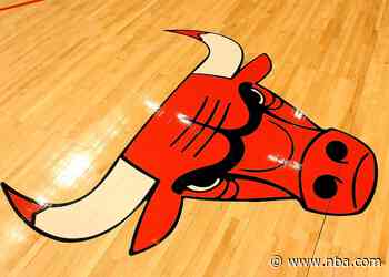 Ask Sam Mailbag: possible Bulls head coaching candidates, free agents, and Dancing with the Stars - Bulls.com