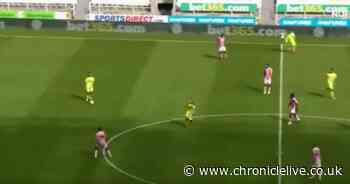 The moment Dan Barlaser showed Newcastle what he can bring