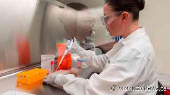Most Canadians confident government will be able to get a COVID-19 vaccine: Nanos survey