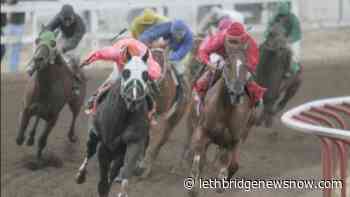 Lethbridge horse races return September 5 after pandemic delay - Lethbridge News Now