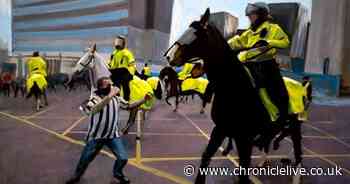 Police horse infamously punched by Newcastle United fan dies