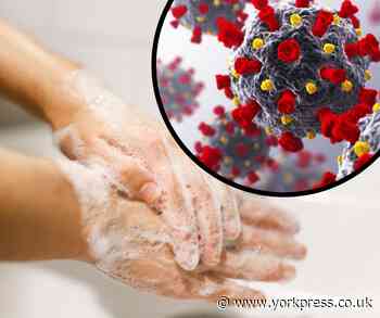 York approaches 1,000 coronavirus cases