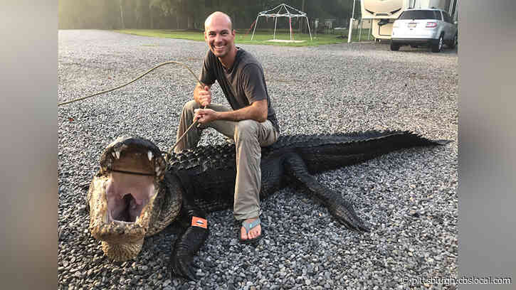 Two Mississippi Boaters Reel In A Massive One-Eyed Alligator Weighing Over 470 Pounds