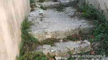 L'Aquila, via dei Fedri abbandonata: tanta incuria e erba alta - Il Capoluogo