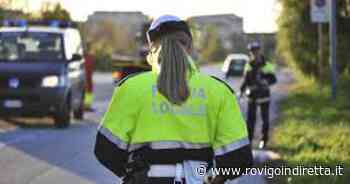Multa per chi non taglia l'erba nel proprio giardino: già 40 sanzioni - RovigoInDiretta.it