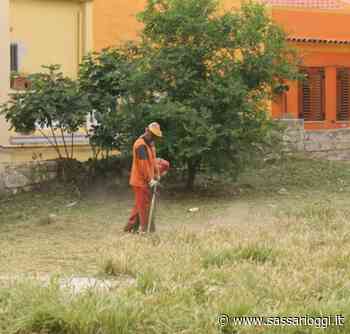 Sassari, nuovi progetti per lo sfalcio dell'erba: saranno raccolti anche i rifiuti - Sassari Oggi