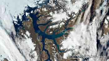 Monitoring the Arctic Heatwave: Alarmingly High Temperatures, Extreme Wildfires and a Significant Loss of Sea Ice